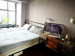 Blk 1E The Pinnacle@Duxton (Bukit Merah), HDB 4 Rooms #588569061